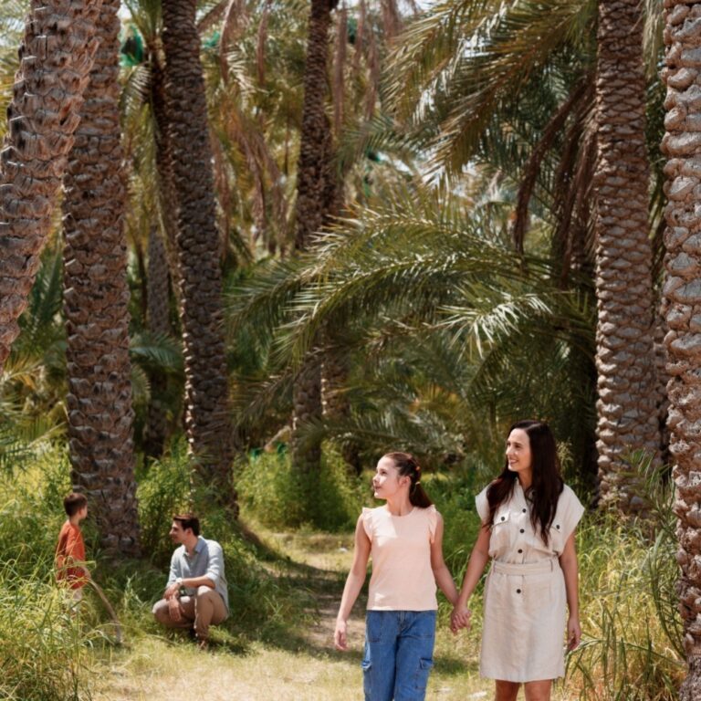 Al Ain Oasis