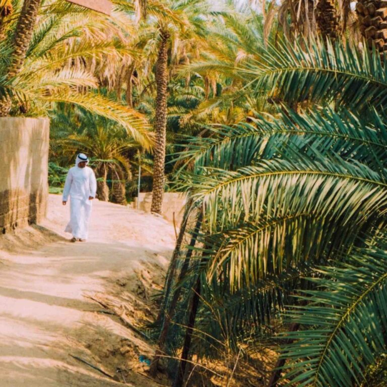 Al Ain Oasis