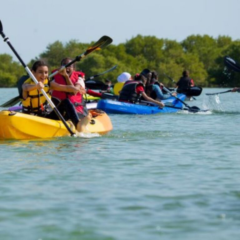 Al Thakira Mangroves