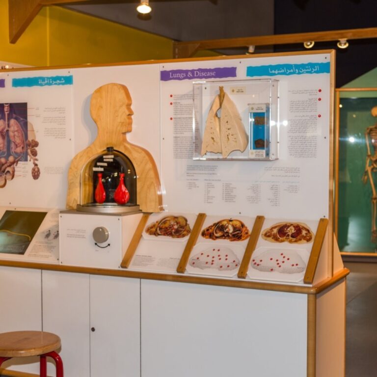 Sharjah Science Museum