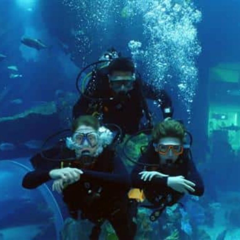 under water adventures dubai 768x768