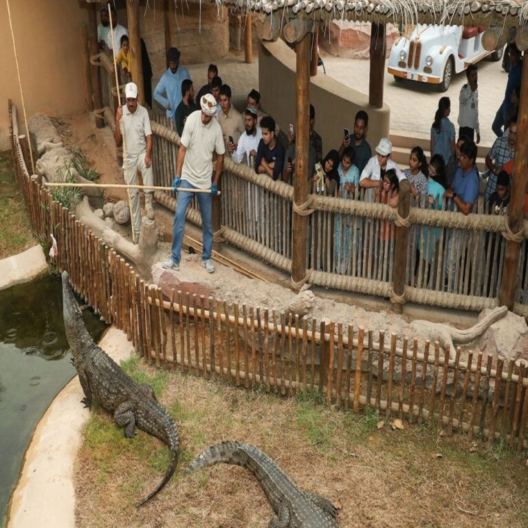 Al-Ain Zoo